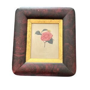 Antique JJ Jung "Camellia Anglica" Botanical Colored Engraving Floral Print 8"